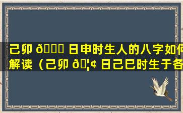 己卯 🐎 日申时生人的八字如何解读（己卯 🦢 日己巳时生于各月详解）